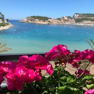 Geranios Spanje